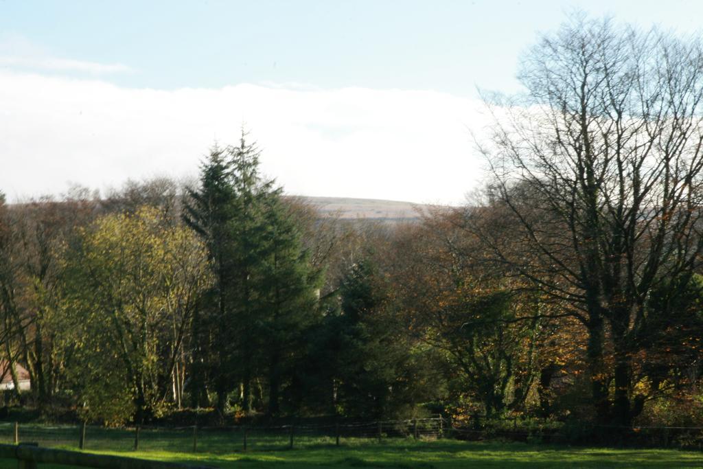 Lydford House Hotel ภายนอก รูปภาพ